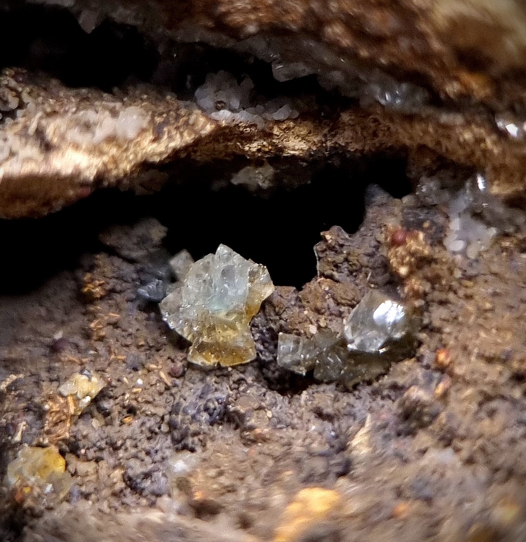 Manganoan Adamite & Adamite