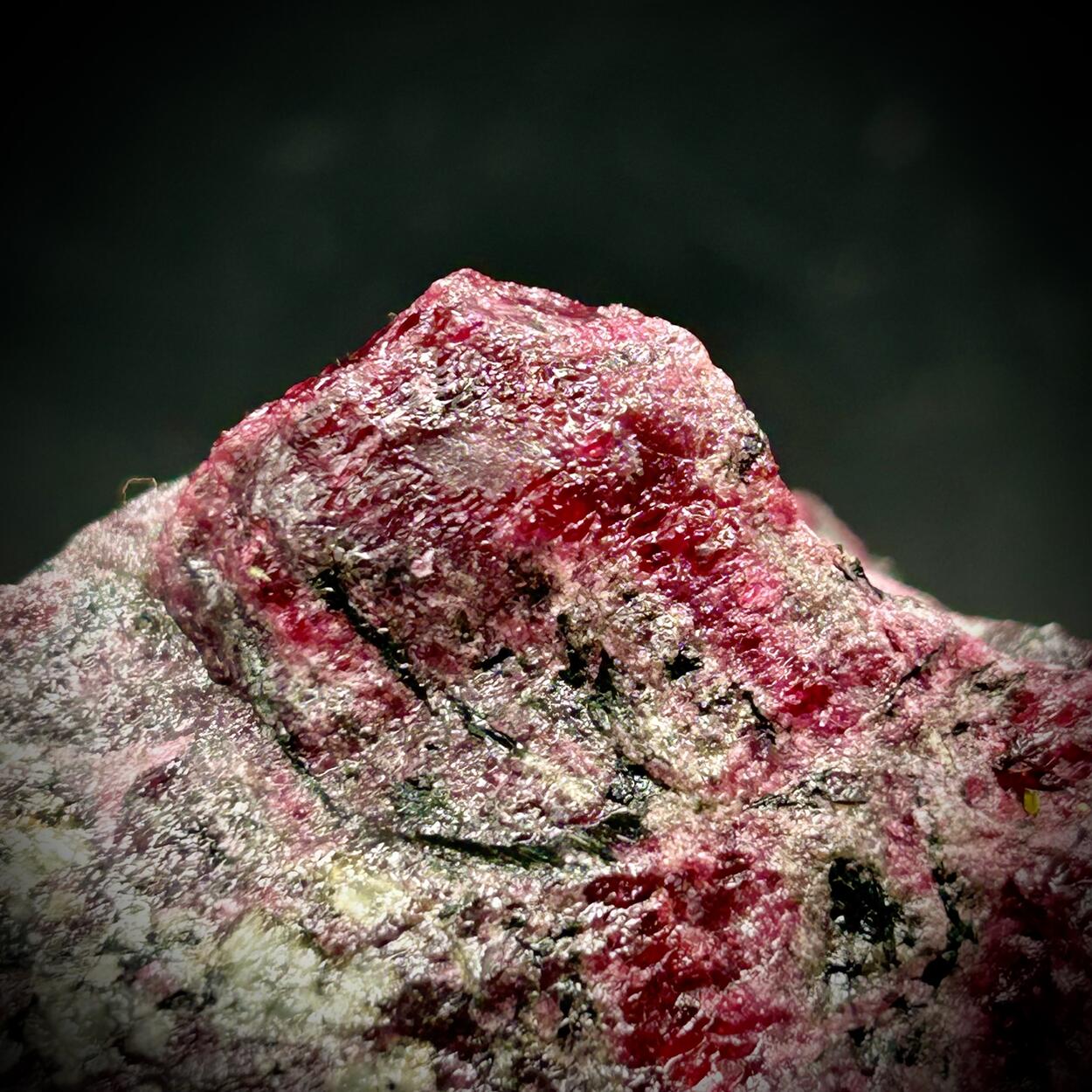 Eudialyte