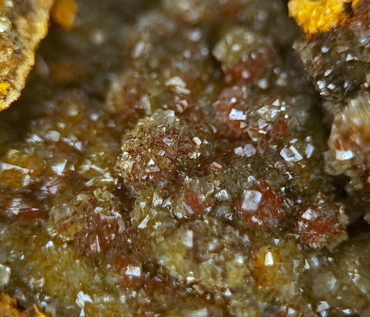 Manganoan Adamite & Adamite