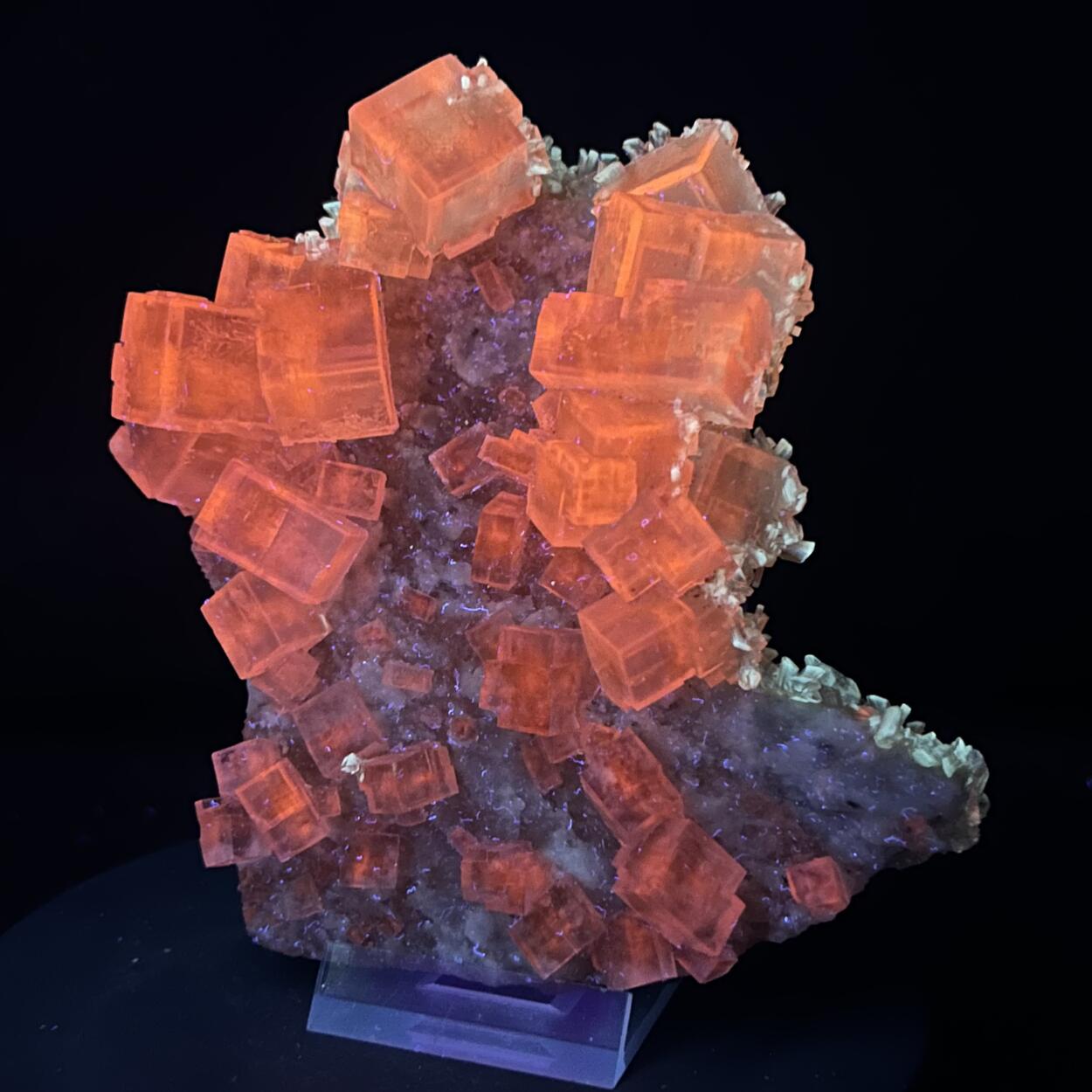 Halite & Gypsum