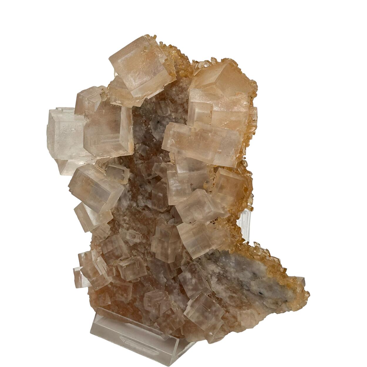 Halite & Gypsum