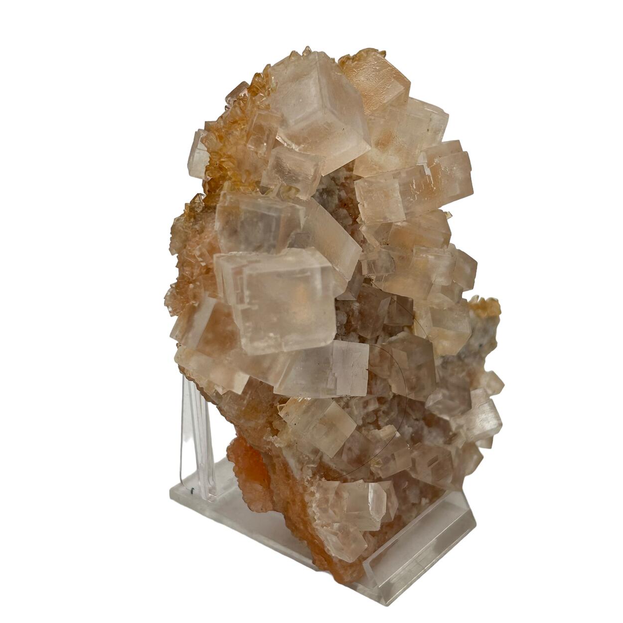 Halite & Gypsum