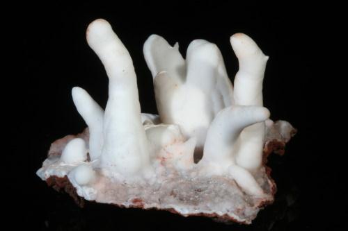 Aragonite Var Flos Ferri