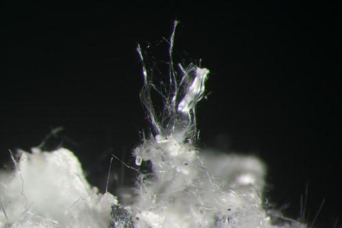 Szaibélyite