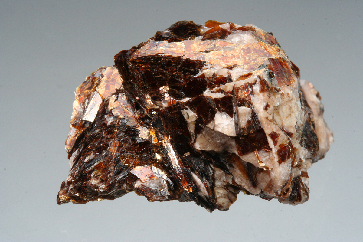 Astrophyllite