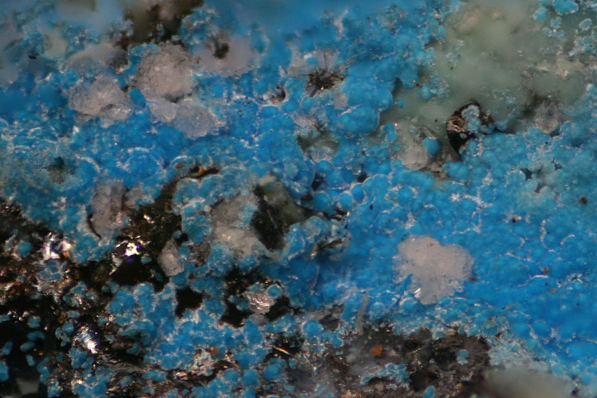 Creedite On Carbonatecyanotrichite