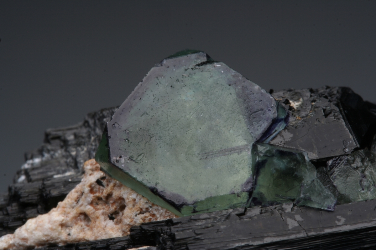 Fluorite On Schorl