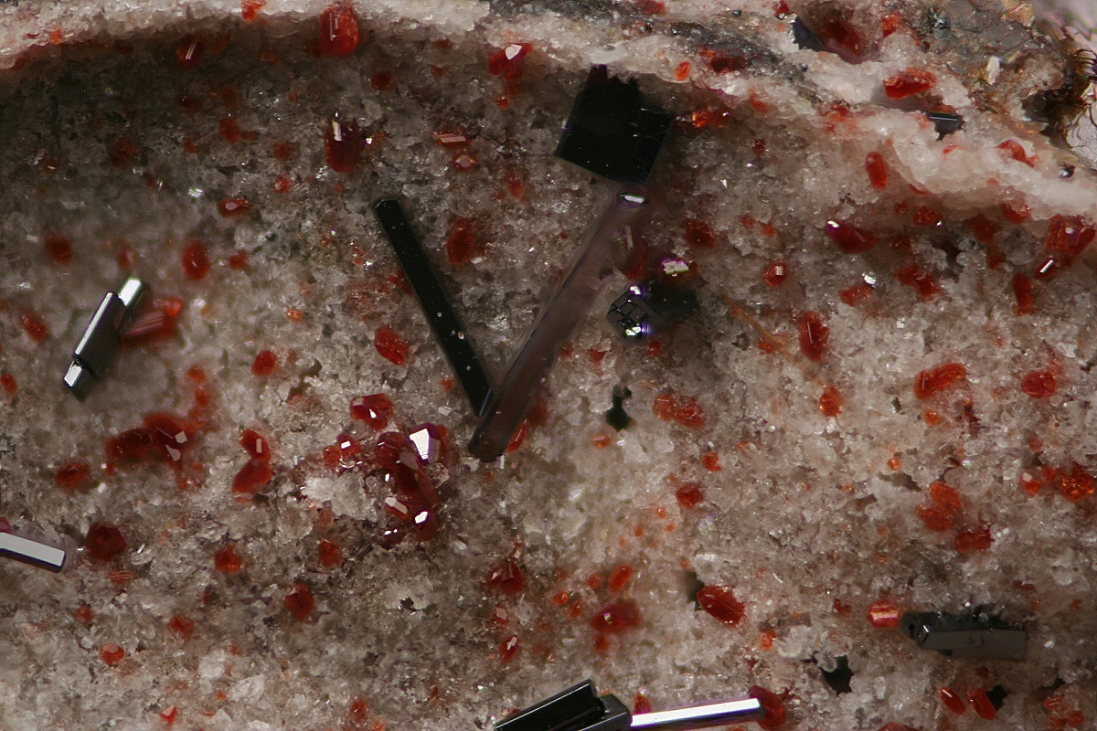 Forsterite & Pseudobrookite