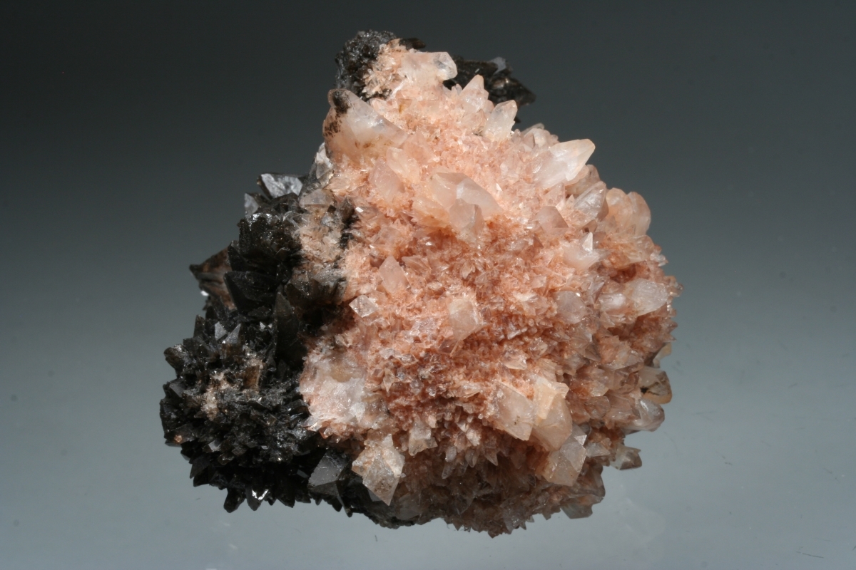 Creedite