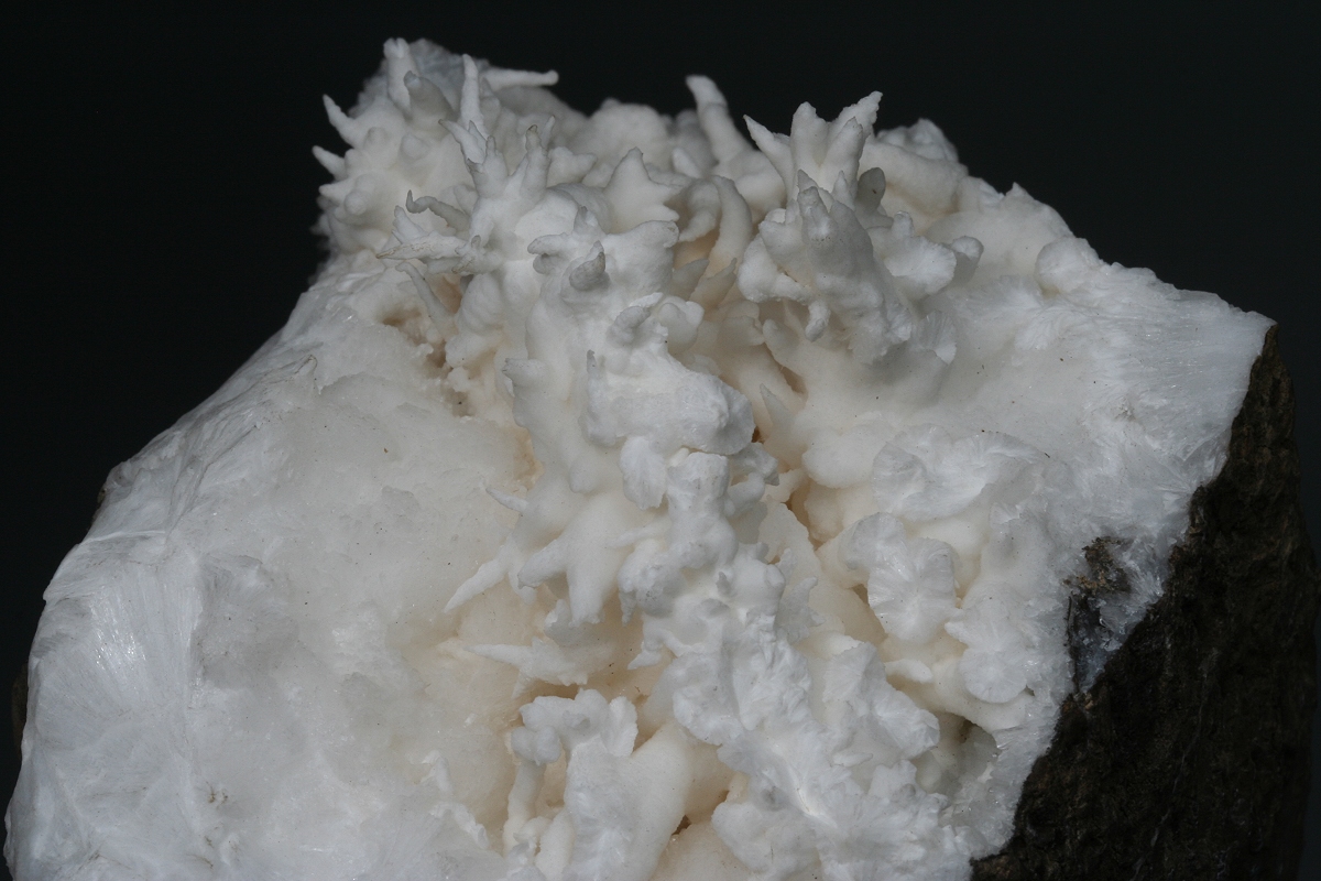 Aragonite Var Flos Ferri