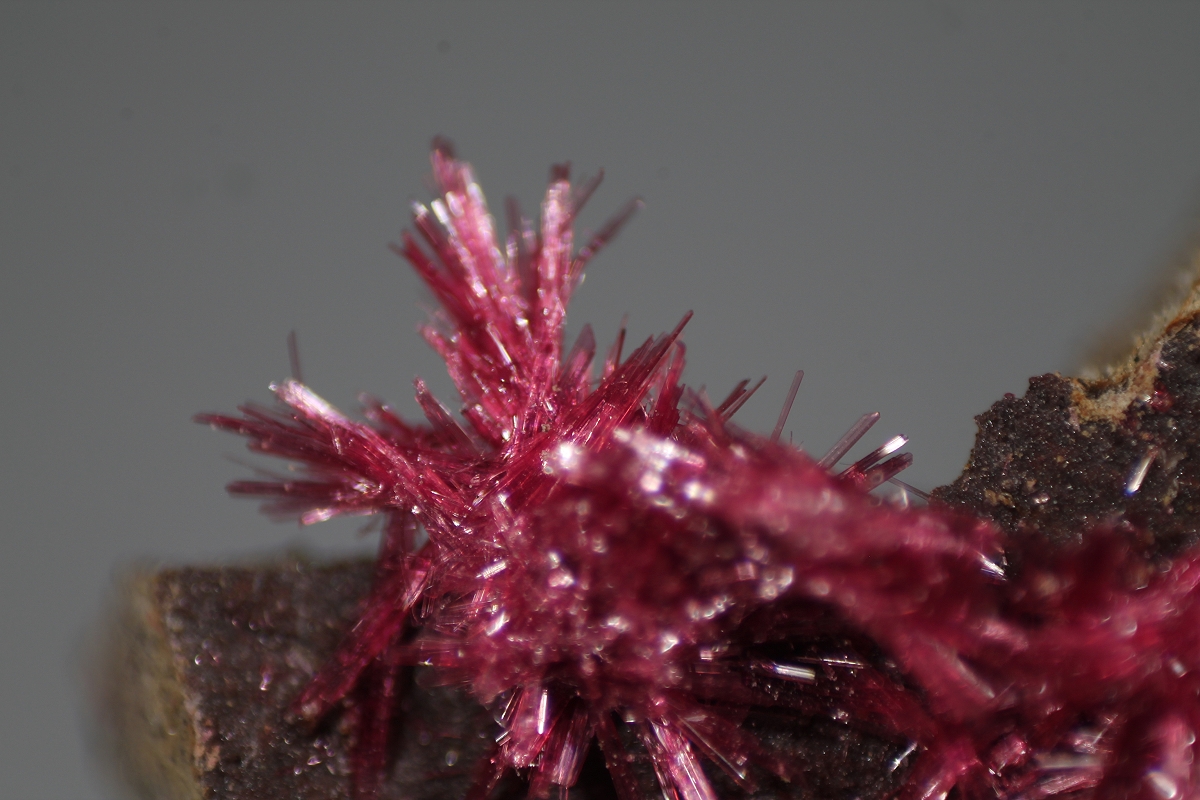 Erythrite