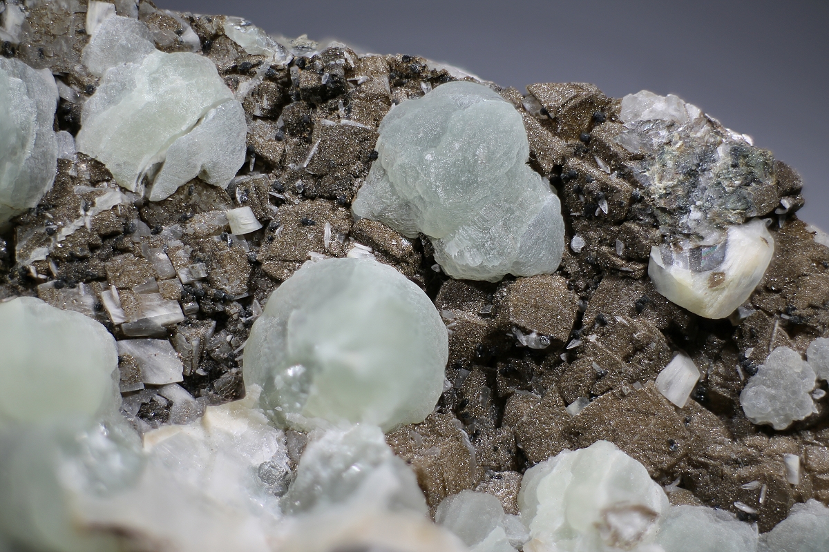 Prehnite Calcite & Julgoldite-(Fe2+)