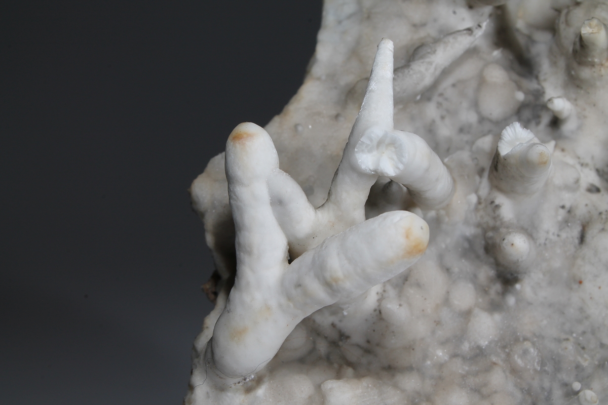 Aragonite Var Flos Ferri