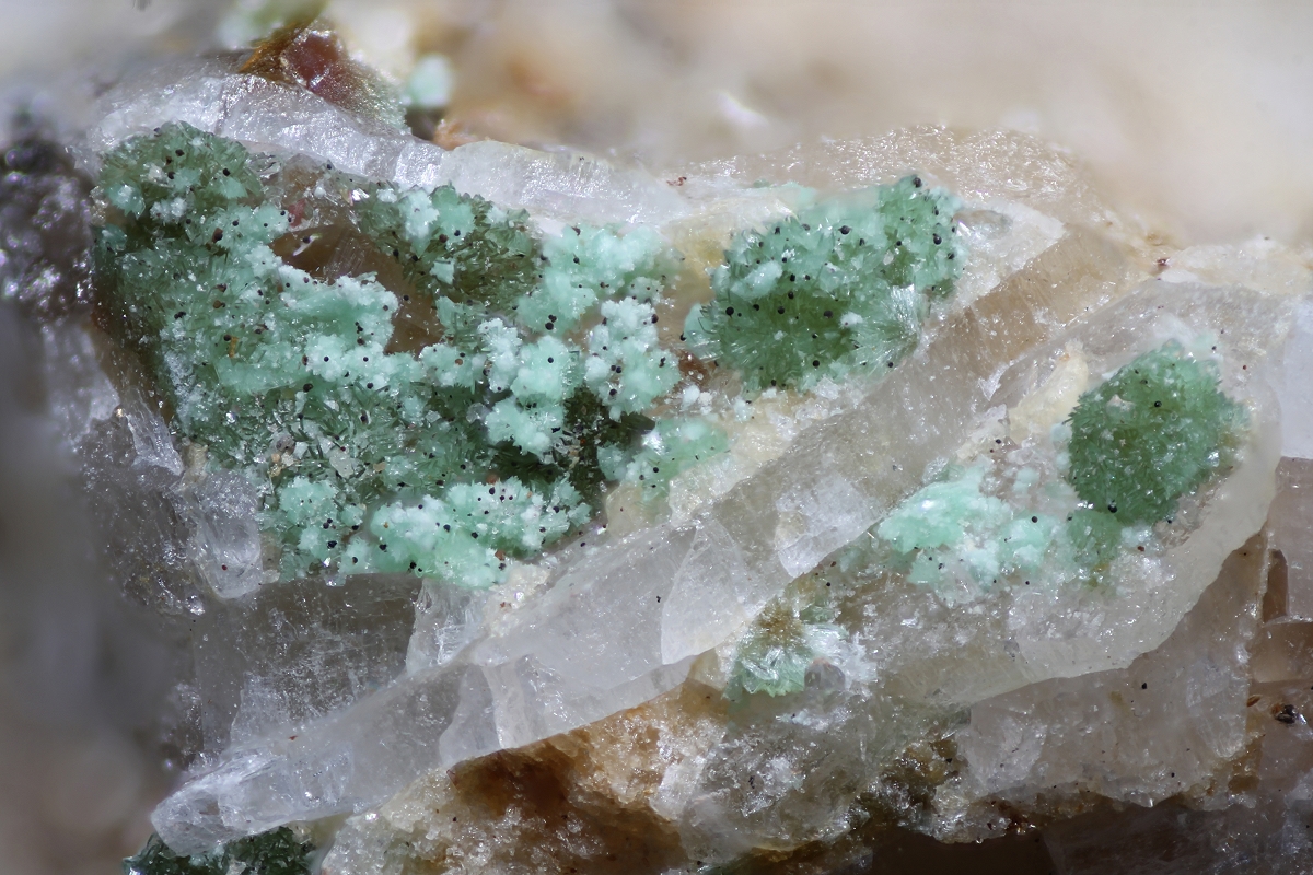 Annabergite