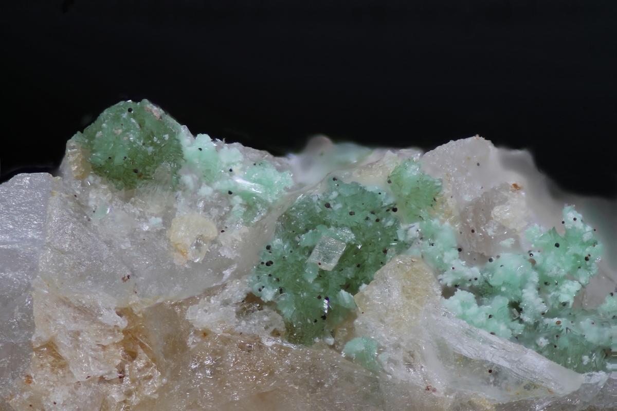 Annabergite