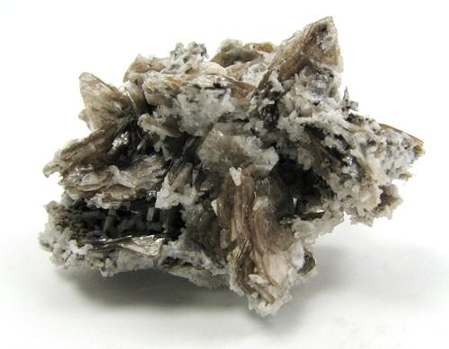 Polylithionite