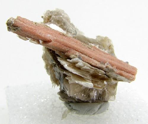 Rhodochrosite Psm Sérandite & Polylithionite