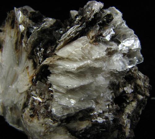 Eirikite & Polylithionite