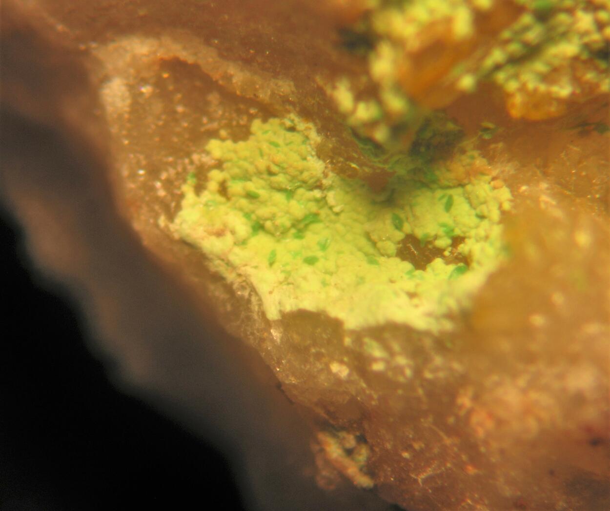 Conichalcite Bayldonite Agardite