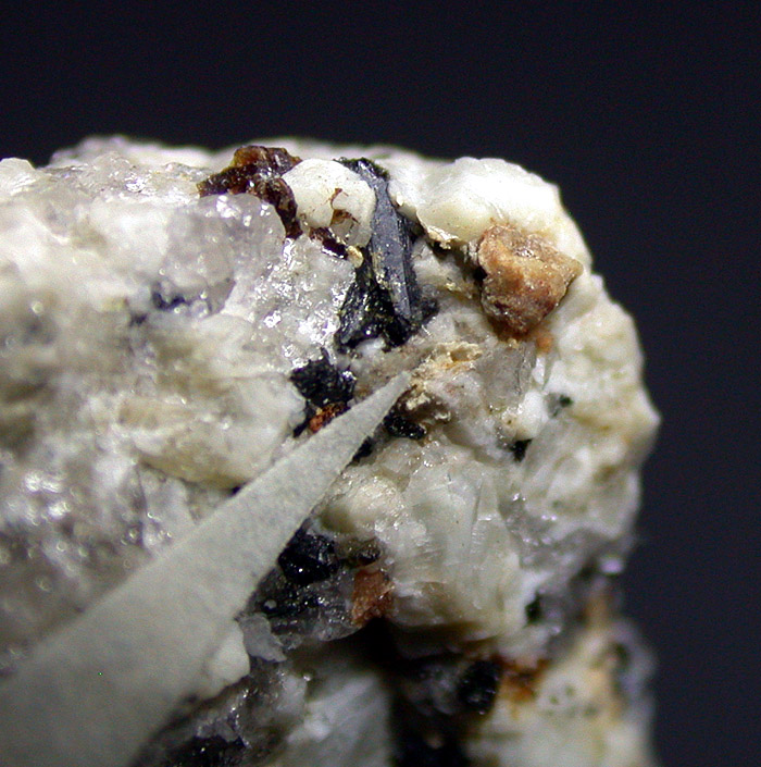 Dalyite