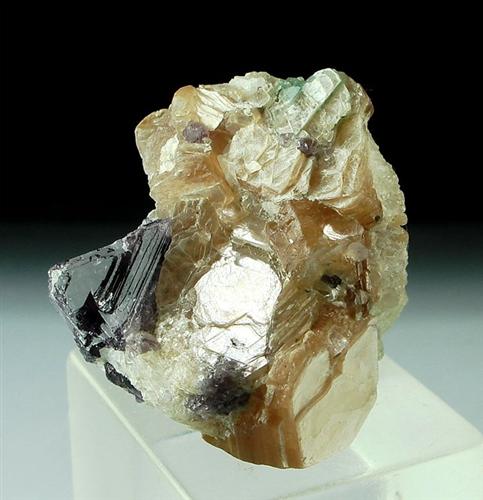 Spinel With Phlogopite