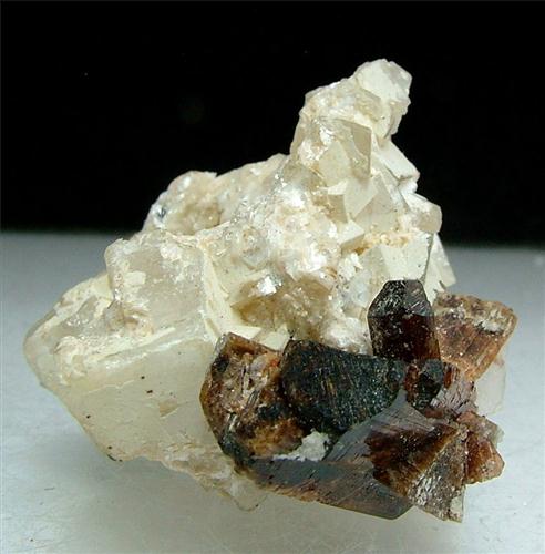 Pargasite With Dolomite