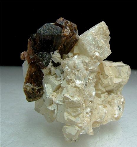 Pargasite With Dolomite