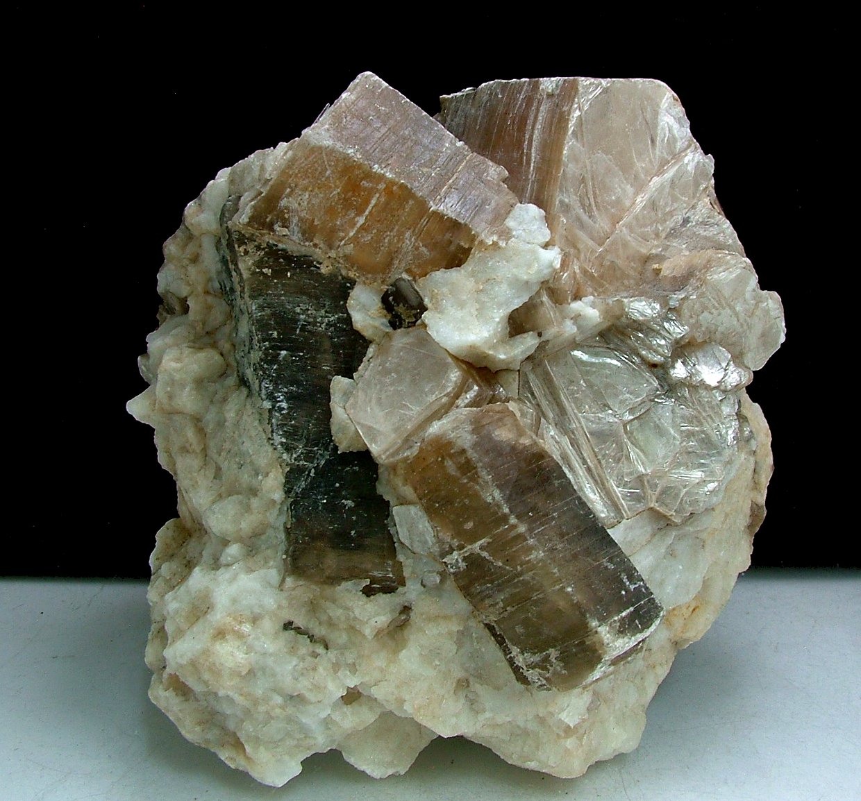 Phlogopite