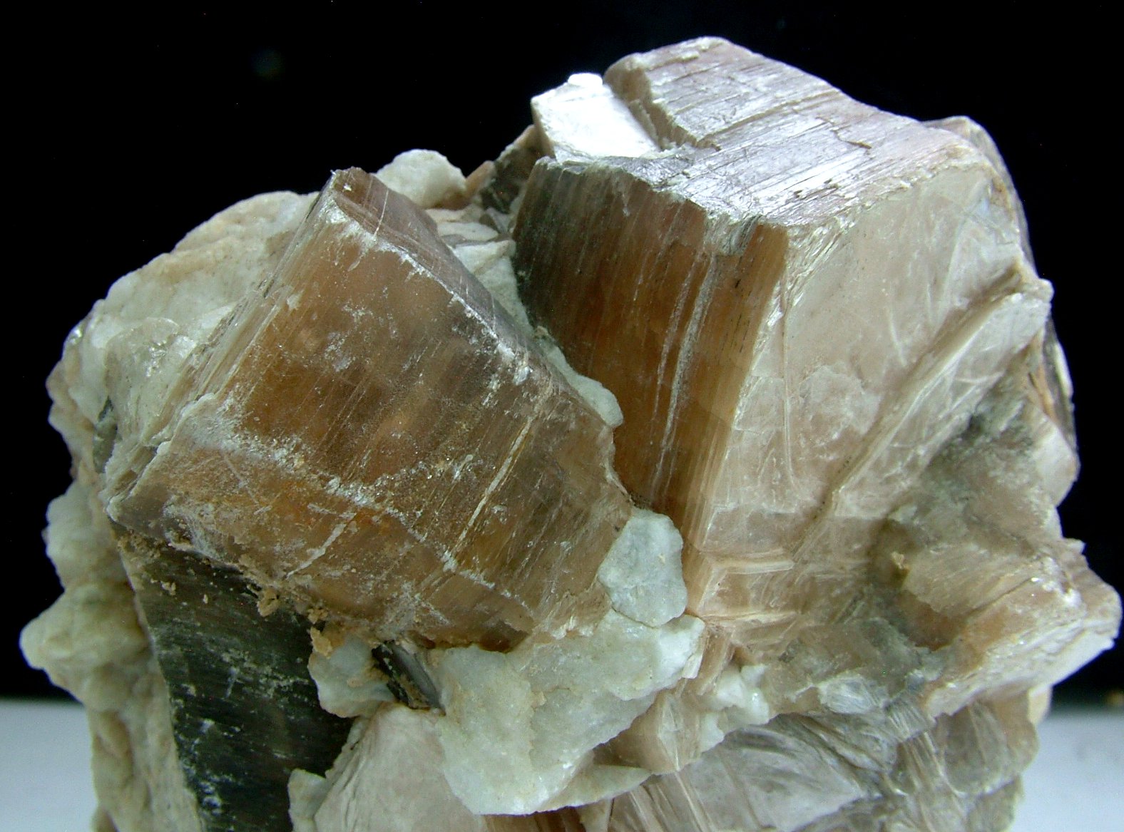 Phlogopite