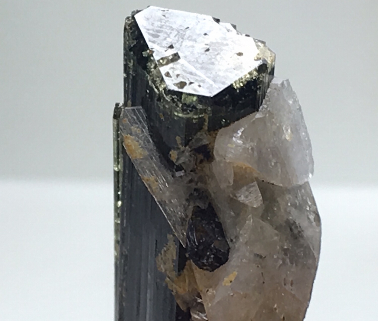 Elbaite Var Tourmaline With Tantalite-(Mn)