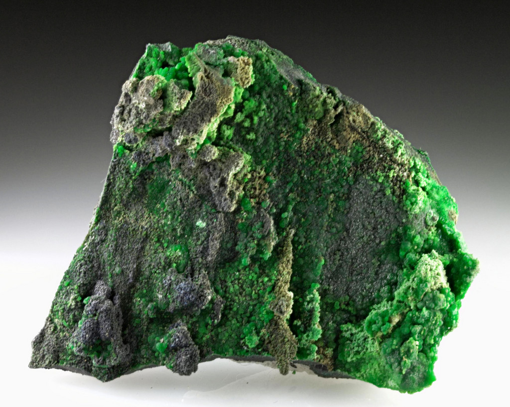 Conichalcite With Adamite