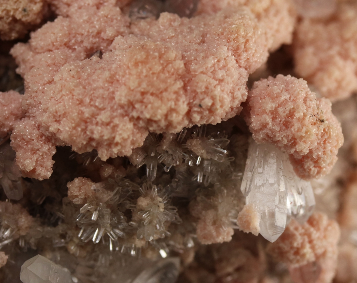 Rhodochrosite On Quartz