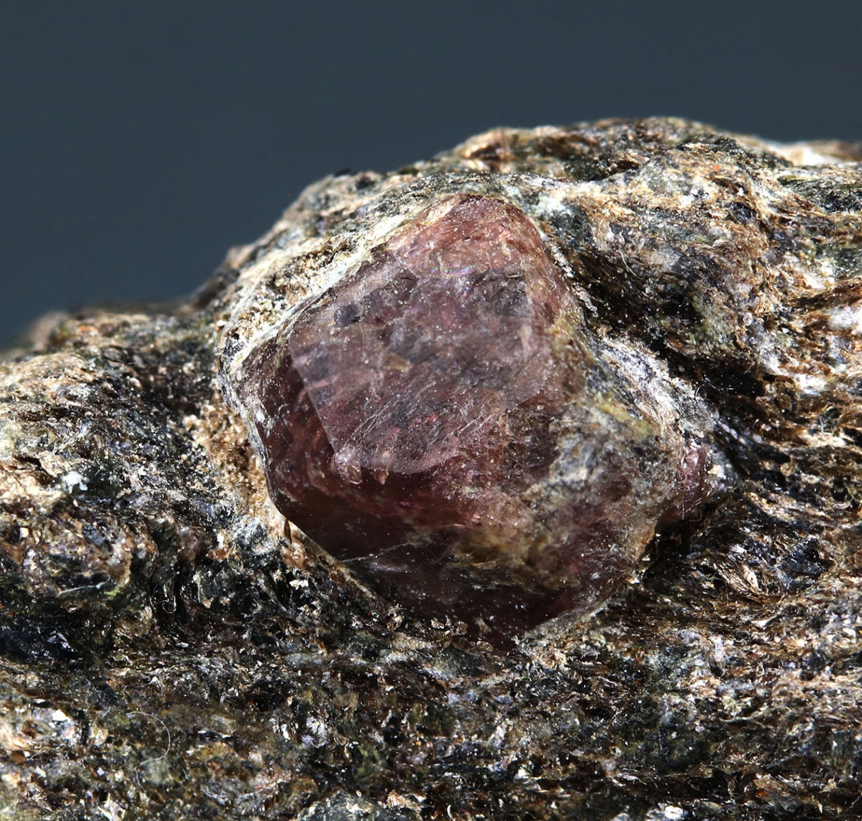 Garnet Var Almandine On Mica