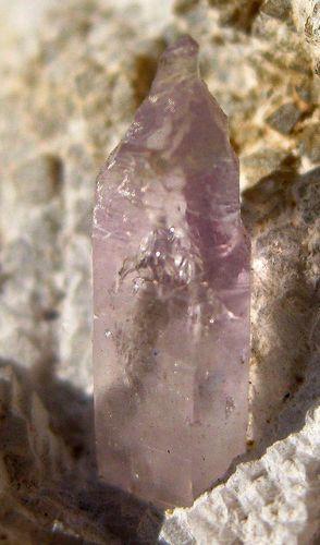 Amethyst Reverse Sceptre