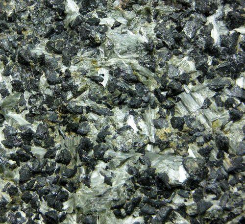 Tremolite With Magnetite