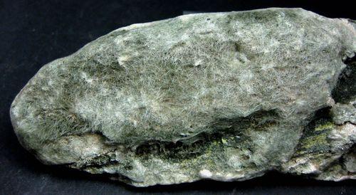 Byssolite