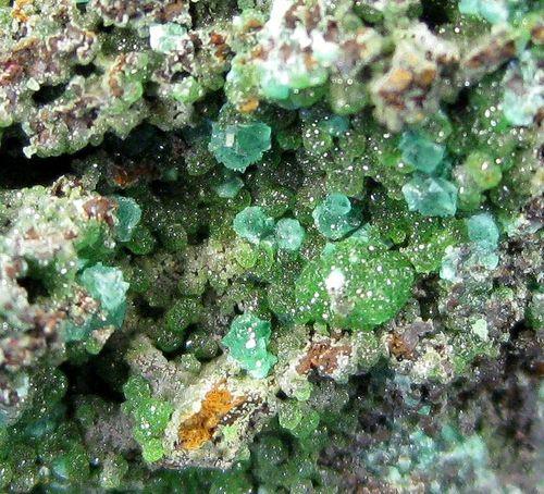 Cuprian Adamite