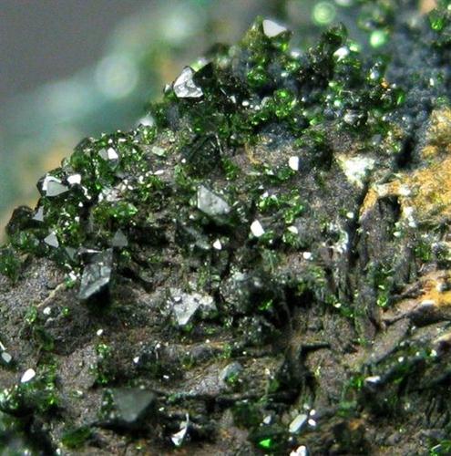 Libethenite On Pseudomalachite