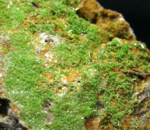 Pyromorphite