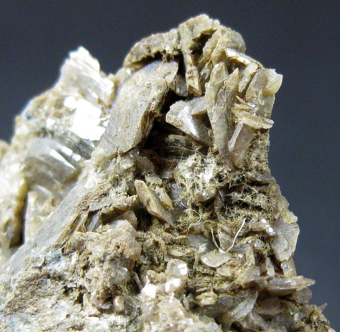 Axinite-(Fe) & Anthophyllite