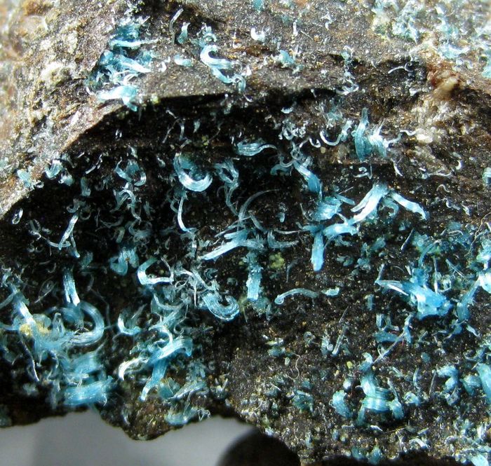 Chalcanthite