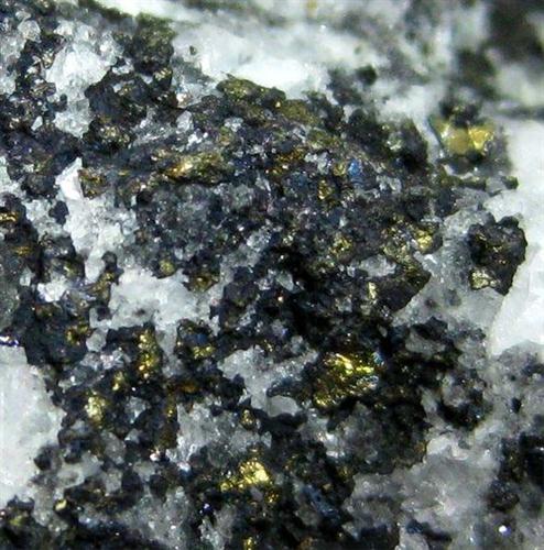 Covellite With Chalcopyrite