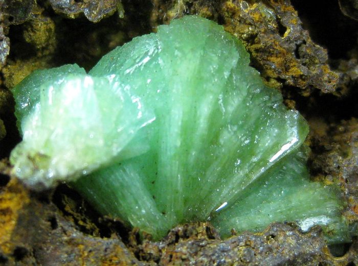 Cuprian Adamite