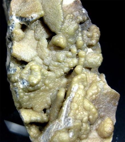 Ernienickelite In Carbonate-rich Fluorapatite