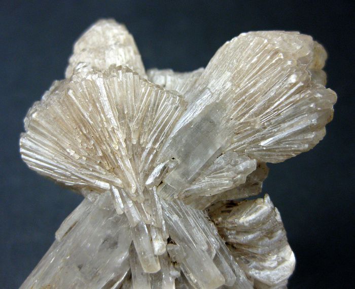 Gypsum