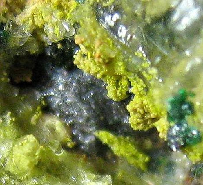 Hydrohonessite Gillardite & Glaukosphaerite On Gypsum