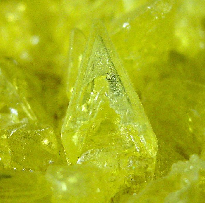 Native Sulphur