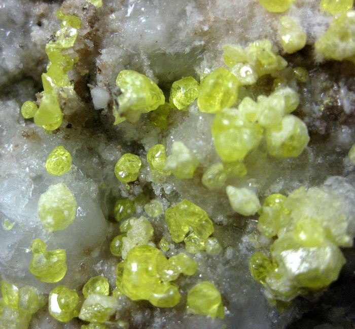 Native Sulphur On Anhydrite