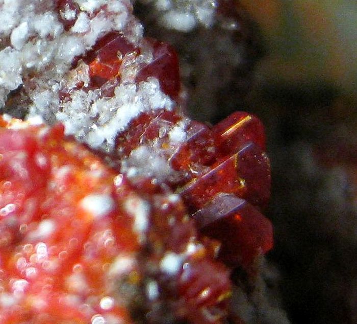 Realgar & Picropharmacolite