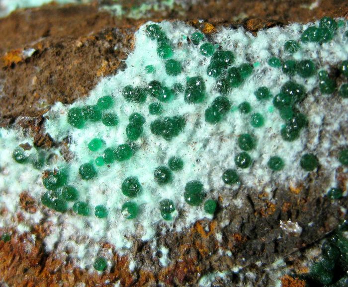 Agardite & Cuprian Adamite